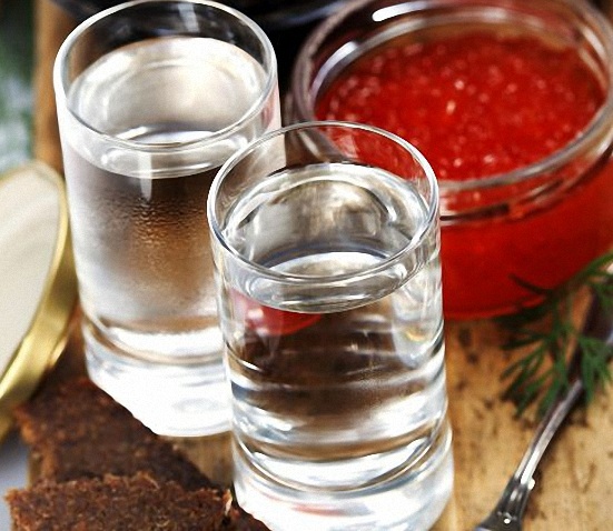 Pripravljen paradižnik vodka fotografija