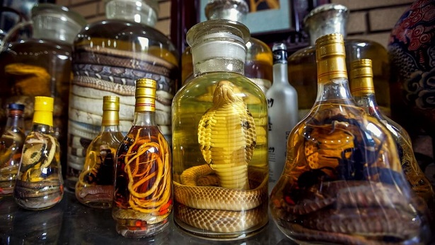 zdjęcia Thai alkohol z wężami