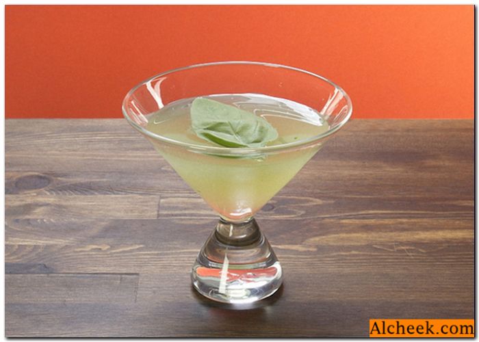 Jak udělat anýzu vodku doma: recept na anisovki doma