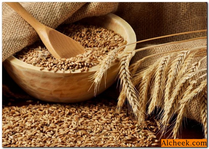 Recept i kuhanje Video kaša pšenice za votke: kako napraviti žito, kako staviti bez kvasca