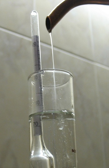 foto lubenica vodka