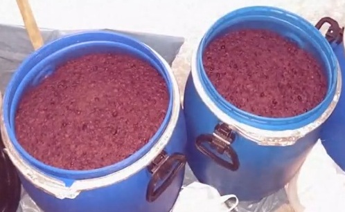 technologia produkcji wina z żurawiną