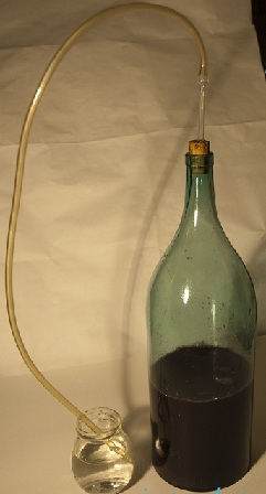 гідрозатвор для журавлинного вина