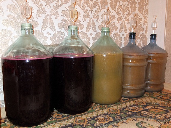 kutine vino fermentacija fotografija