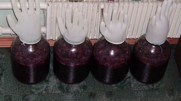 фото бродіння вишневого вина під рукавичкою