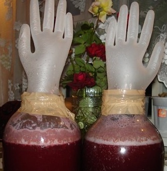 брусничне вино під рукавичкою