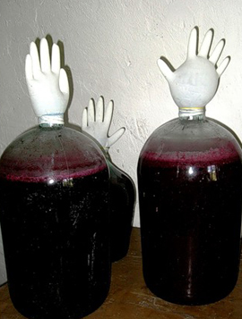 vino fermentacija z rokavico