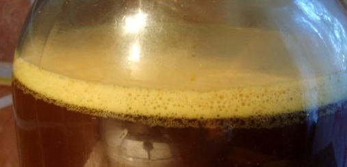 foto medu fermentirani kvass
