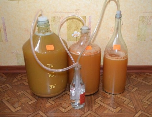 бродіння персикового вина