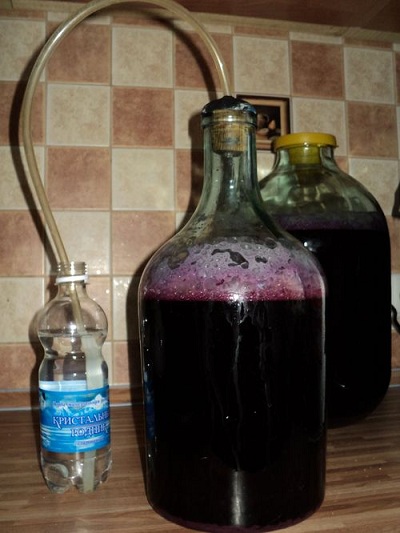 vino fermentirano iz jagod Fotografija