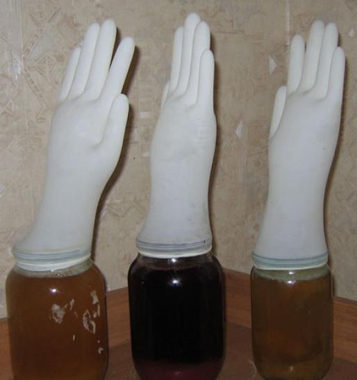 vino fermentacija pod zdravniškim rokavico
