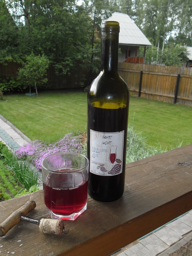 zdjęcie gotowego wina z truskawek varnya