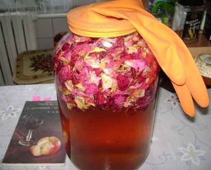 vino fermentacija sliko cvetni listi vrtnice