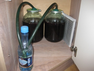 фото вина з листя винограду під водяним затвором
