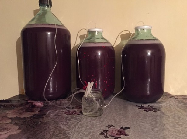 obraz fermentacja wina dla domowych zamknięcia wodnego