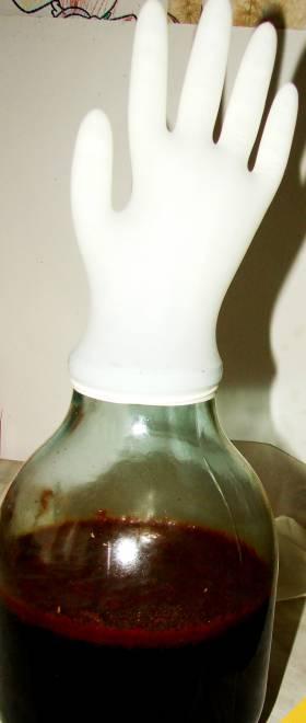 Foto rokavice za fermentacijo domače vino iz grozdja z dodatkom vode