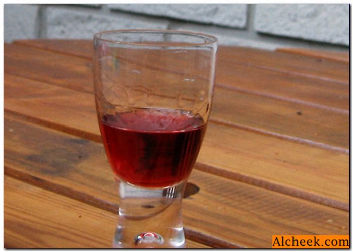Vino iz smrznutih ribiza: vino recept kod kuće