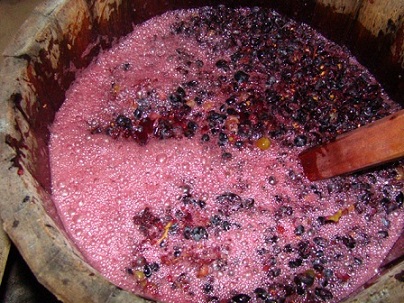 Domača vina fermentacija fotografija