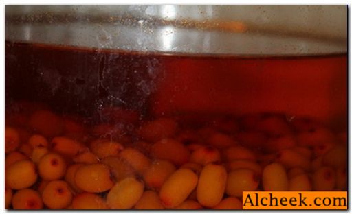 Морски зърнастец ликьор у дома: рецепти за ликьори и водка алкохол