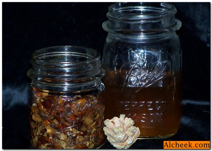 Рецепти кедрової горілки: як зробити горілку, настояну на кедрових горіхах, в домашніх умовах