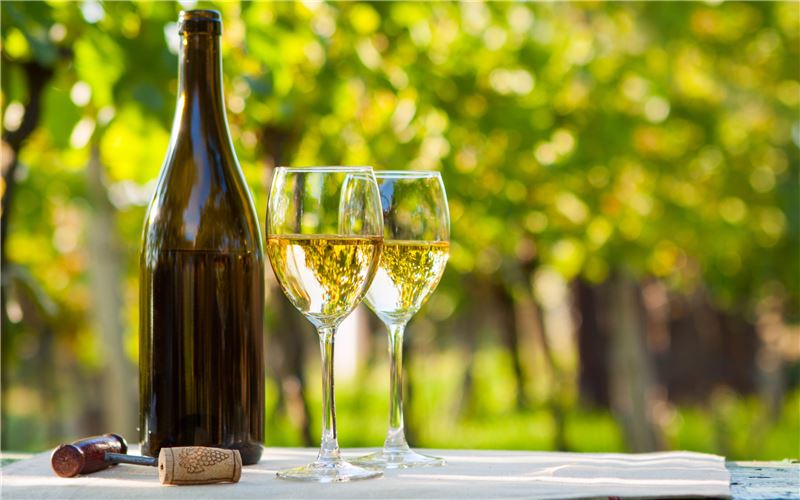 Hrozienkové víno: jednoduché domáce recepty