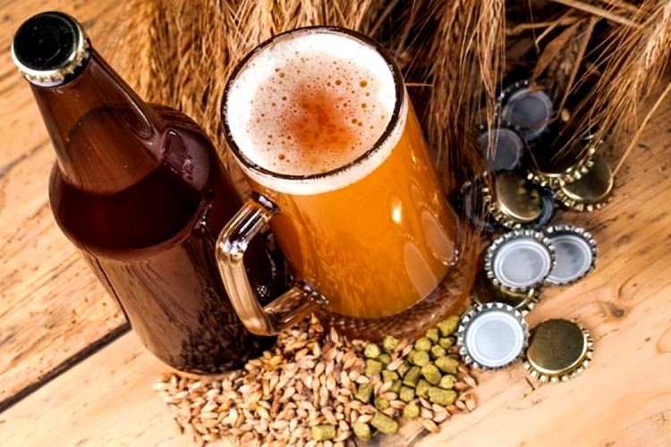 Jak warzyć piwo w domu: najlepsze przepisy dla początkujących piwowarów
