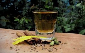 Becherovka doma: recept za pripravo češke tinkture iz mesečine ali alkohola