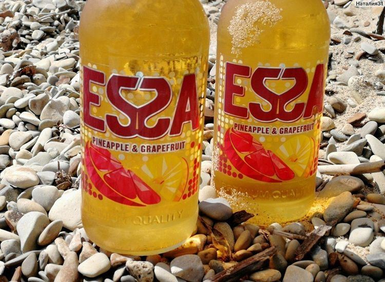 Pivo Essa (Essa): pregled okusov sadne pijače