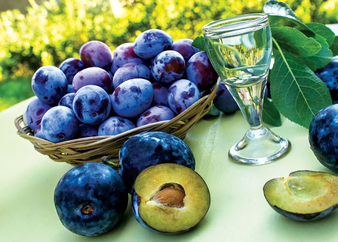 Ovoce a bobule Moonshine: 13 receptů doma