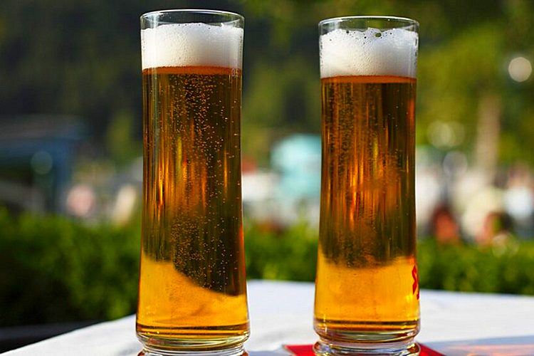Dan piva: zgodovina in značilnosti praznika v Rusiji