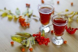 Rowan aronia și fructe roșii pe coniac: rețete pentru a face tinctură acasă