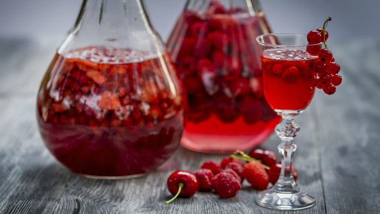 Mulberry vodka: pregled 5 brendova