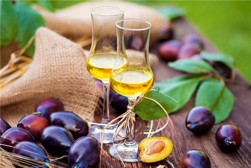 Як робити вино зі слив