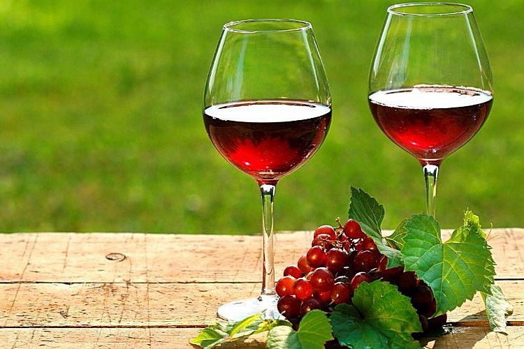 Wino z kaliny w domu: 9 prostych przepisów