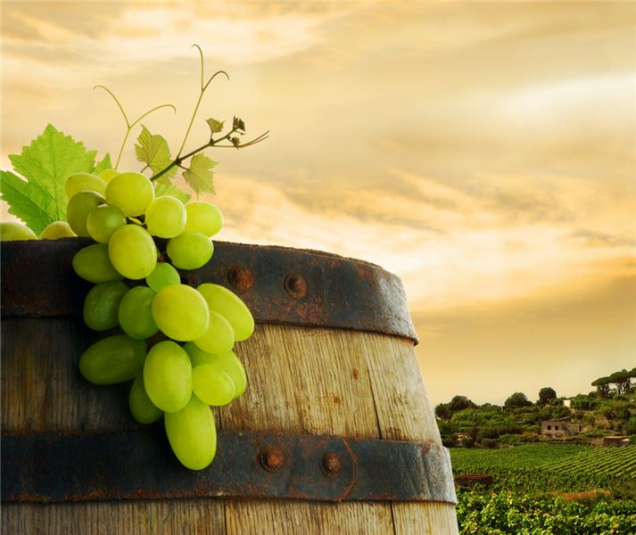 Vino iz domačega grozdja
