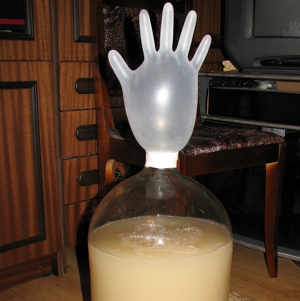 fotografija pretlačimo fermentacijo grozdja megzi gumijasto rokavico