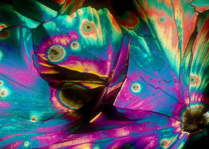Alkohol pod mikroskopom: 22 fotografij iz bevshots