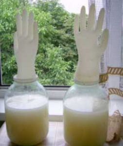 foto banke z rokavico za fermentacijo