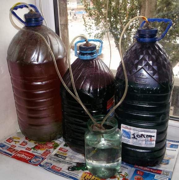 фото бродіння вина в пластиковій баклажки