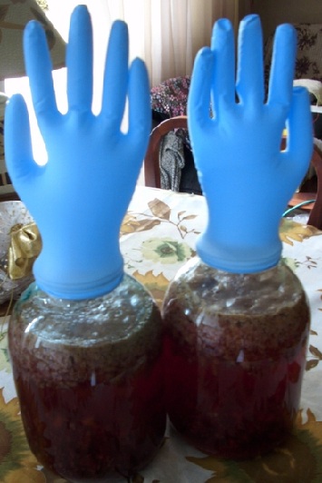 fermentacija žganje iz jam pod rokavico