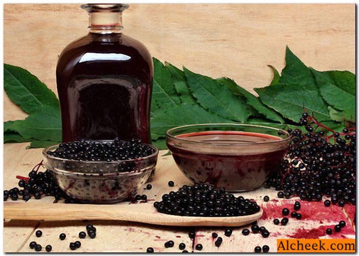 Tinkture chokeberry vodka: receptov za infuzijami črne Rowan