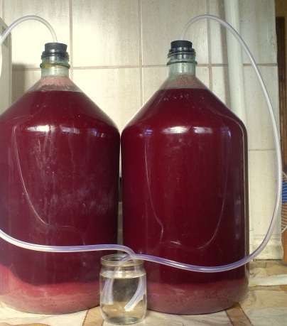 Zdjęcie wody uszczelka dla drugiego wina z winogron