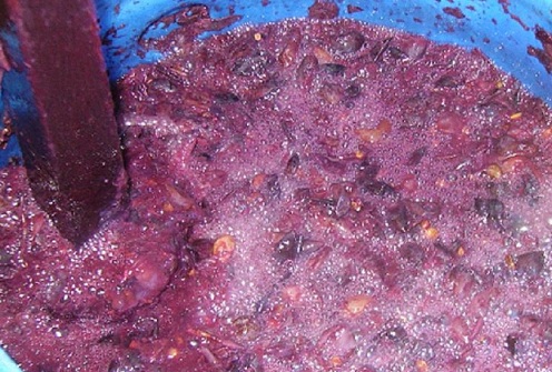 Zdjęcie sfermentowanego zacieru z winogron