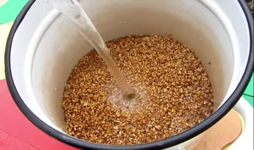 Braga pšenice: recepti bez kvasca