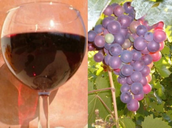 Utvrđeni vino od grožđa kod kuće: recepti