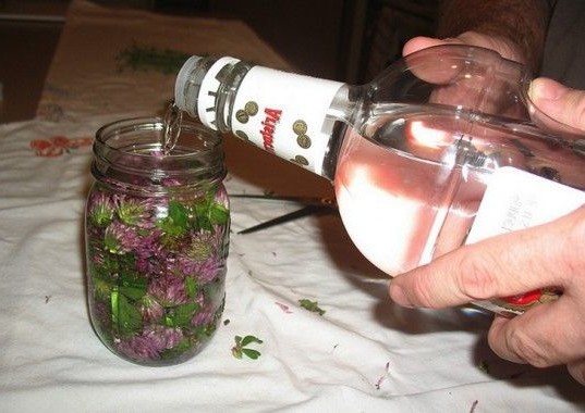 Medicinal tinktura s votke: recepti kod kuće