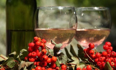 Vino crveno oskoruša (Aronija): koristi i štete, recept kod kuće