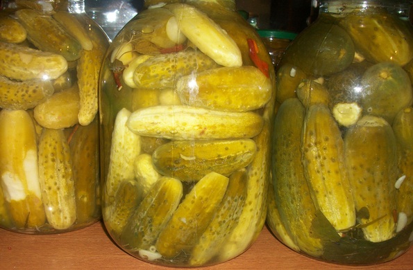 kumarice in vodka Foto