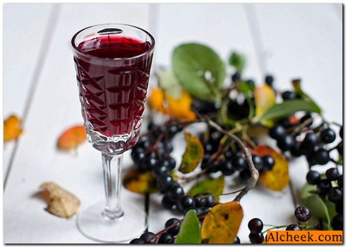 Tinkture chokeberry od alkohola: priprava jerebike tinkture