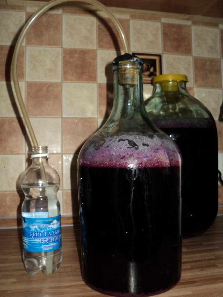 češnja vino fermentacija